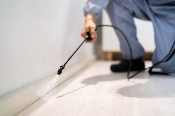 Licensed Pest Control service in Long Beach, WA - Show Me Pest Control
